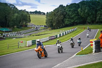 Middle Group Orange Bikes